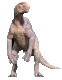 DINOZAURII